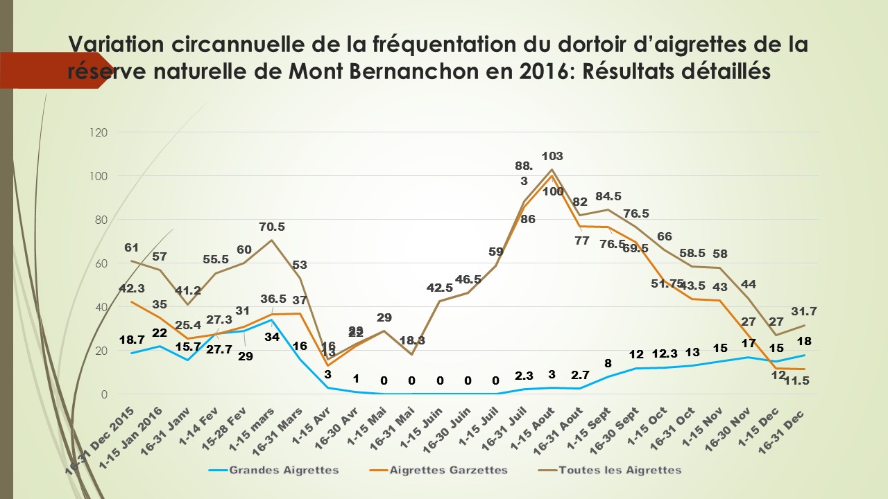 Nombres moyens d' Aigrettes garzette () et de Grandes aigrettes observées chaque sur le dortoir du Dépôt 54 au cours des différentes périodes de l'année 2016.